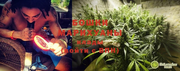 ECSTASY Горняк