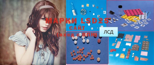 ECSTASY Горняк