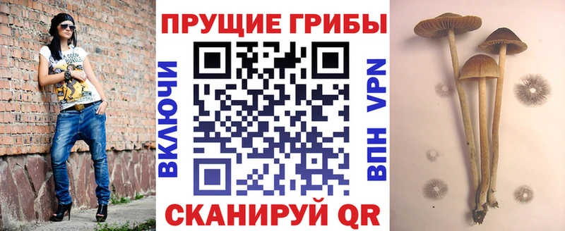 kraken tor Орск Псилоцибиновые грибы ЛСД