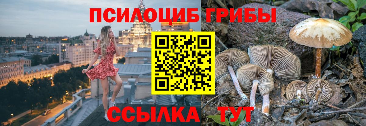 Галлюциногенные грибы Psilocybe  Вход с VPN  Орск  Псилоцибиновые грибы Psilocybe 